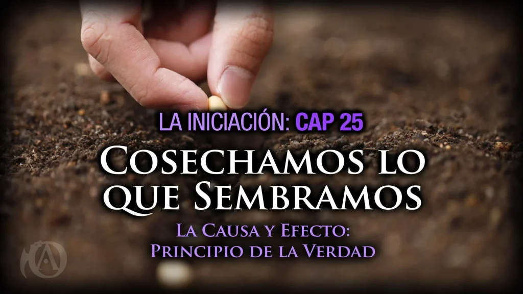 25 Cosechamos lo que Sembramos - La Causa y Efecto