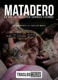 Matadero documental