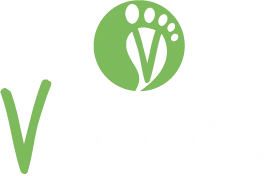 V Footprint Web app Logo